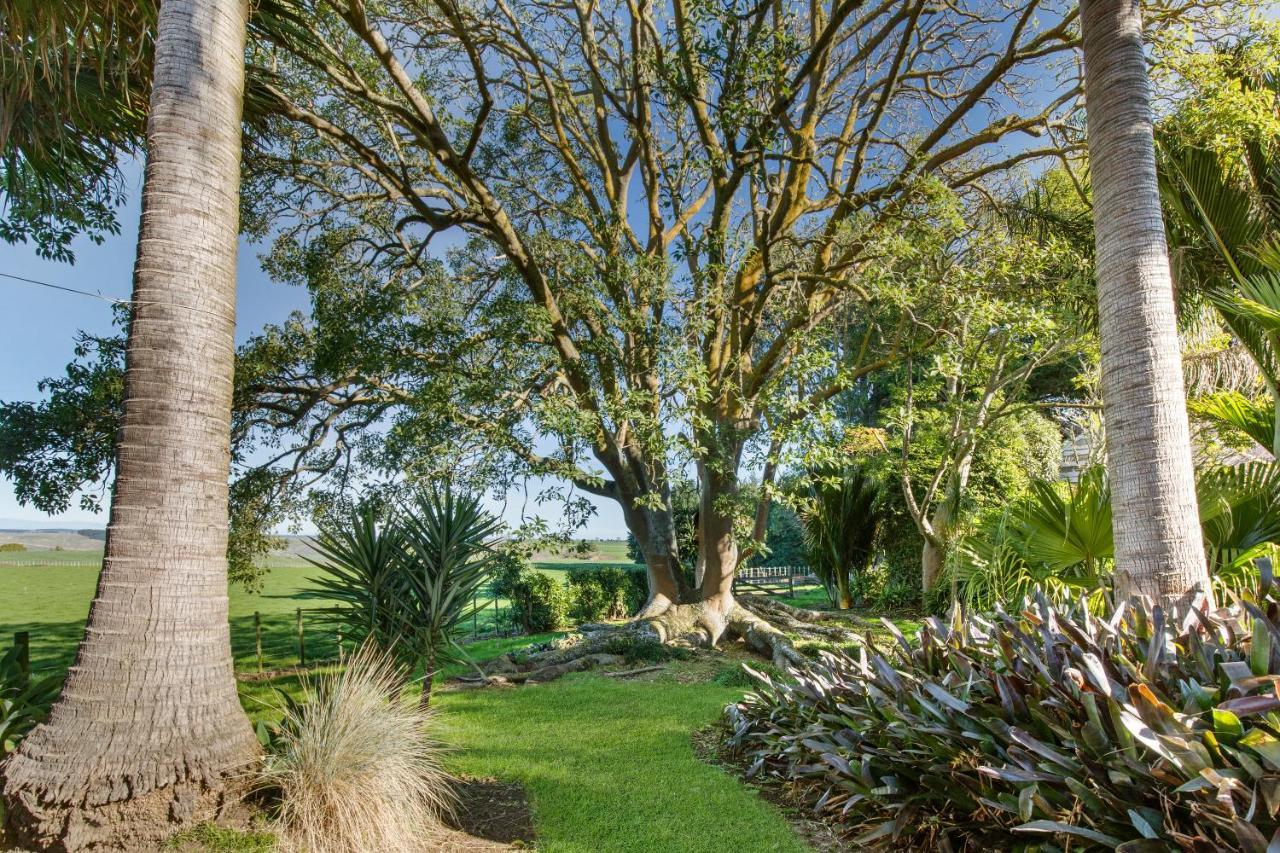 Apartmán Headlands Estate Whanganui Exteriér fotografie